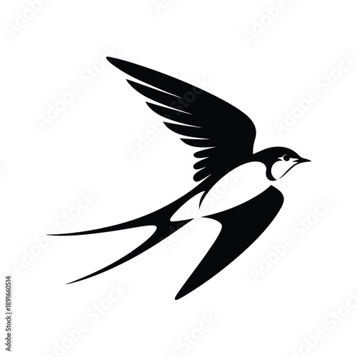 A striking black and white illustration of a swift bird in flight