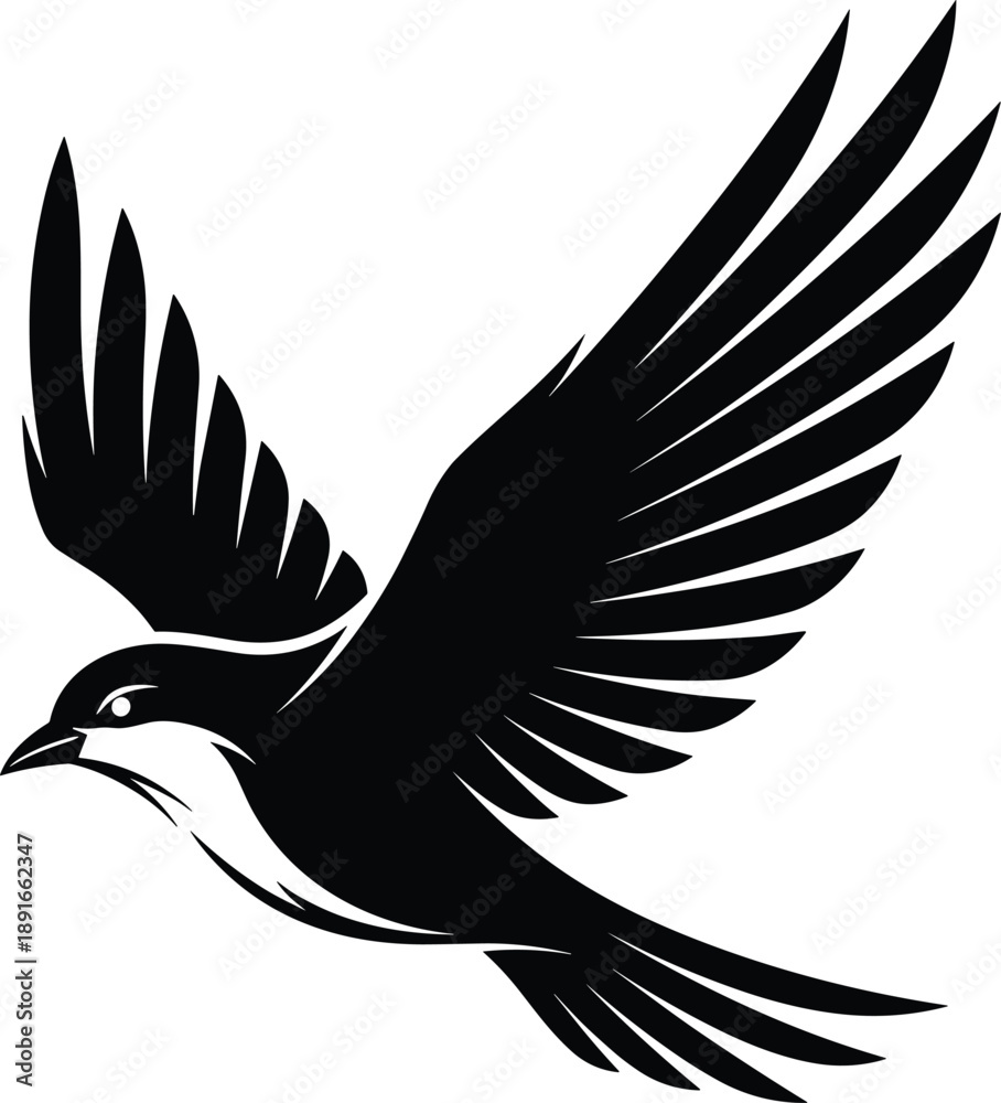 Obraz premium Flying Bird Silhouette Illustration with Spread Wings and Detailed Feathers in Bold Black and White Graphic Style for Nature and Freedom Concepts