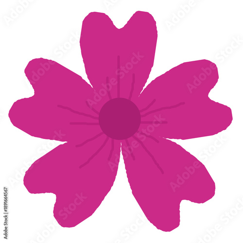 pink dahlia flower hand drawn