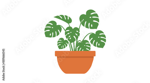 Monstera Houseplant in Pot - Flat Vector Illustration