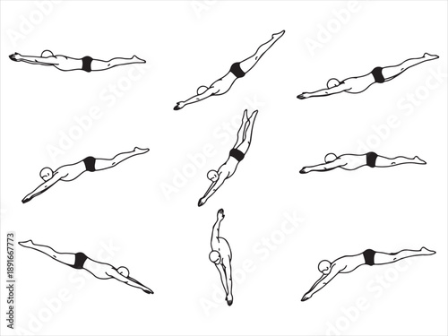 Illustration of various swimming poses  different styles and positions  swimmers in motion