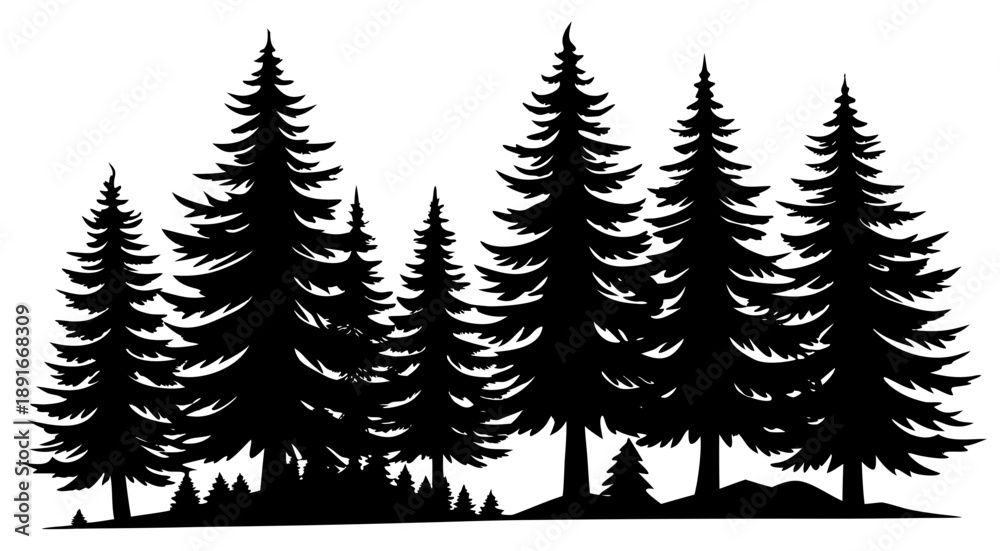 Naklejka premium Fir trees Black Silhouette vector,Pine trees skyline silhouette