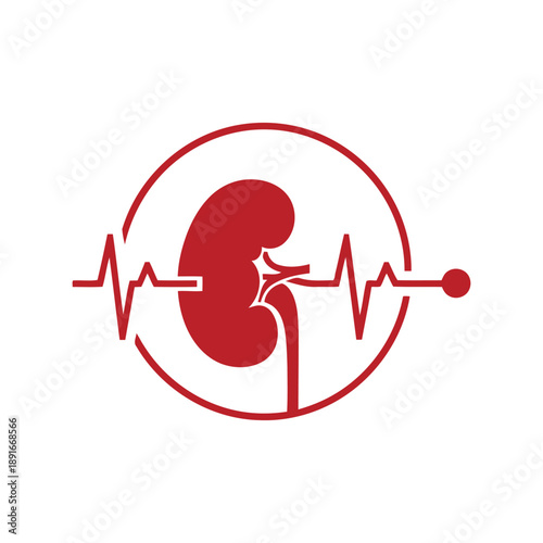 Kidney health vector icon with heartbeat line, medical organ care illustration