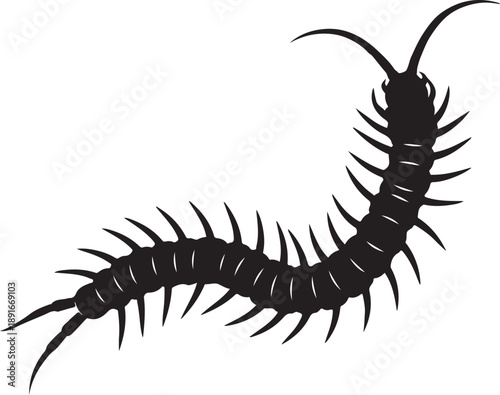 Centipede Silhouette