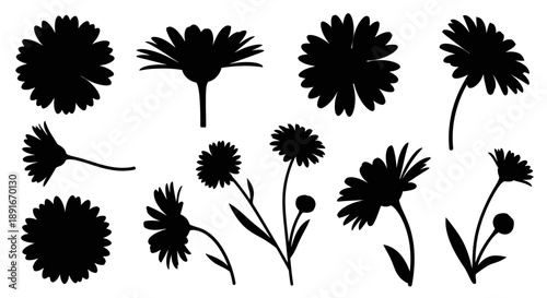 Black silhouettes of various daisy flowers and leafy stems