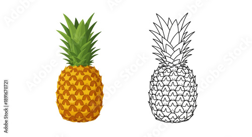 A colorful pineapple is displayed alongside its black and white line art version
