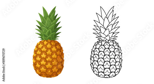 A colorful pineapple illustration alongside its monochrome line art version