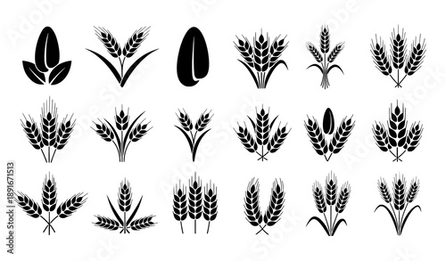 Wheat Grain and Ear Silhouette Icon Collection