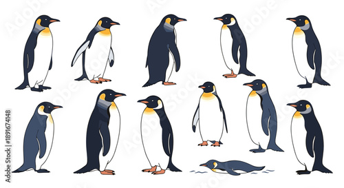 Collection of emperor penguins in various poses, showcasing the majestic Antarctic sea birds in standing and swimming postures.