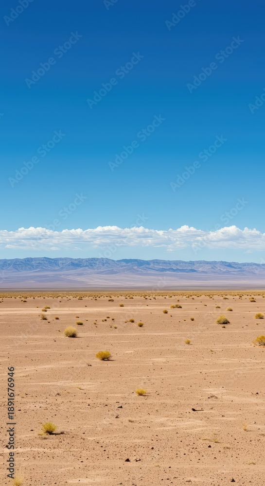 Obraz premium Expansive view of a flat, arid landscape under a clear blue sky, showing the distant meeting point of earth and atmosphere. The perfect backdrop ,line ,light ,horizon