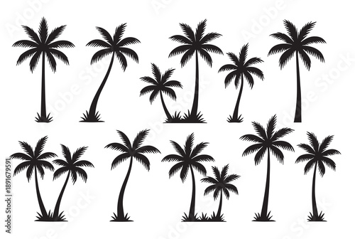 Black Palm Tree Silhouette Set Isolated on White Background