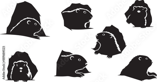 Set of cute guinea pig silhouettes in various poses