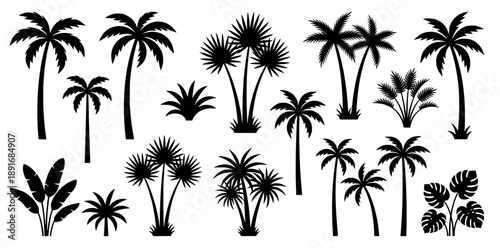 Tropical Palm Trees and Plants Silhouette Set
