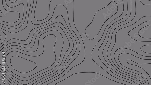 Abstract topography white stripes background motion loop footage video with geo map pattern, best for motion graphics and design projects, fractal lines background, Moving waves on black background 4k