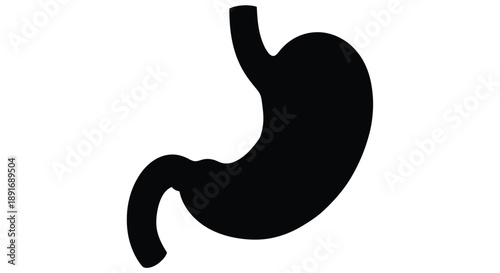 A simple black silhouette of a human stomach isolated on a white background