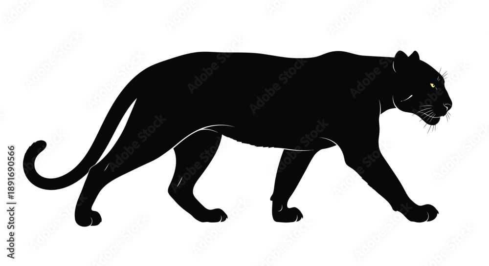 Naklejka premium A black panther walks gracefully with its tail curved.