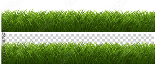 green grass on white background