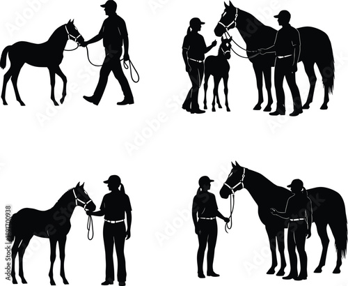 horse, handler, silhouette, equestrian, people, animal, training, farm, ranch, stable, black, shadow, flat, vector, illustration, riding, care, isolated, white, background