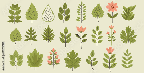 Collection of stylized botanical illustrations featuring diverse shapes of green leaves and simple pink flowers against a muted background