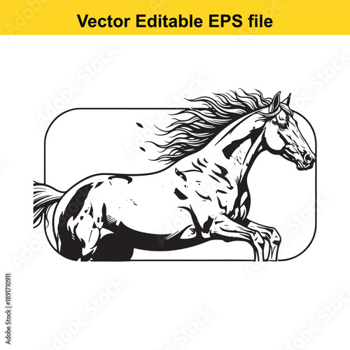 vsai Editable vector illustration of a black and white spotted horse running with flowing mane