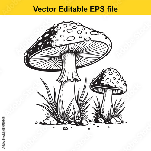 vsai Two large and small mushrooms with spots on caps grow among grass and rocks in a natural setting
