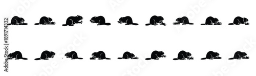 beaver gnawing pose silhouette illustration collection. Animals drawing illustration isolated on white background.
