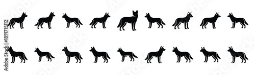 dingo standing pose silhouette illustration collection. Animals drawing illustration isolated on white background.