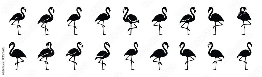Obraz premium flamingo standing one leg silhouette illustration collection. Animals drawing illustration isolated on white background.