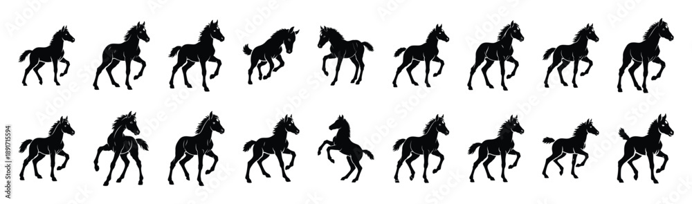 Fototapeta premium foal playful pose silhouette illustration collection. Animals drawing illustration isolated on white background.