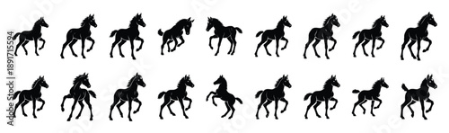 foal playful pose silhouette illustration collection. Animals drawing illustration isolated on white background.