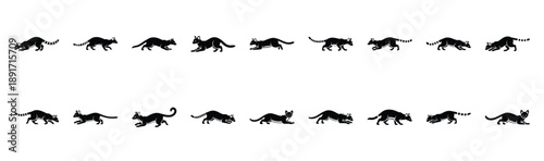 genet prowling pose silhouette illustration collection. Animals drawing illustration isolated on white background.