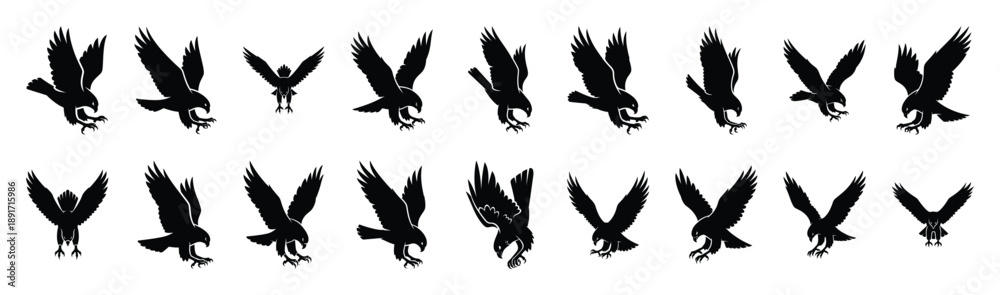 Obraz premium hawk diving pose silhouette illustration collection. Animals drawing illustration isolated on white background.