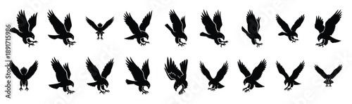 hawk diving pose silhouette illustration collection. Animals drawing illustration isolated on white background.