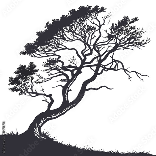 Twisted tree on hillside