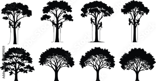 Arborist Tree Climber Silhouette Set, Professional Tree Care Service Icons, Forestry Worker Maintenance Graphics, Natural Deciduous Tree Outlines, Woodcutter Vector Illustration Bundle