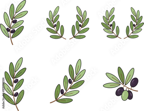 Six olive branches with olives and leaves in various arrangements on a white background