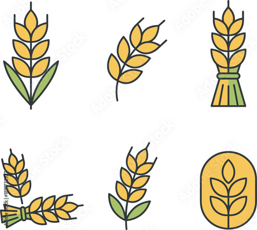 Wheat Stalks and Bundles in Various Arrangements