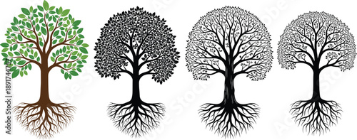 Tree Root Illustration Set with Black and Green Nature Trees Showing Underground Roots for Education Logo Branding Print and Design