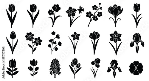 Collection of various black silhouette flower graphics