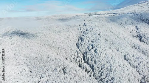 Filming above the Carpathian mountains with snow-covered forests