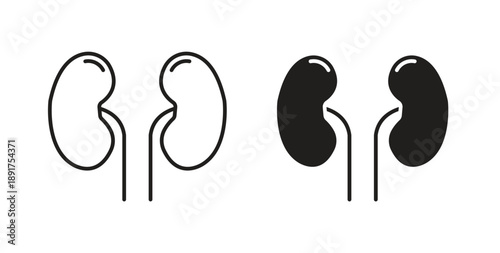 Kidney icon vector Illustration and outline Icons. vector silhouette.