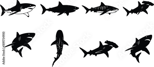 Stylized black and white shark silhouette set featuring diverse species including hammerhead and whale shark for marine biology, ocean design, and educational use.