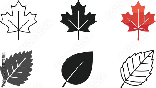 Leaf Icon Set Vector with Outline Solid and Minimal Nature Leaves for Eco Design Branding Web App and Illustration Use