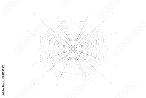 Realistic spider web with dew drops,Detailed black line art of a spider web.