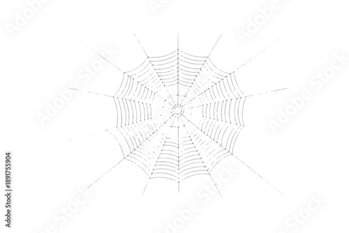 Realistic spider web with dew drops,Detailed black line art of a spider web.