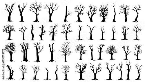 Collection of bare winter tree silhouettes, various shapes and sizes of leafless deciduous trees, dead branches, stark winter imagery, providing natural elements for seasonal or atmospheric designs