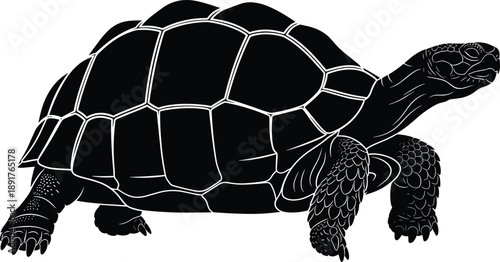 Tortoise silhouette illustration, wildlife and nature concept, black and white design, slow movement and endurance symbol, reptile profile