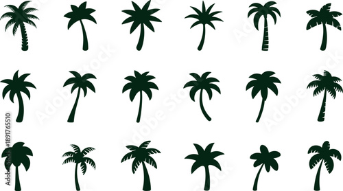 Palm trees silhouette collection tropical island vacation relaxation nature