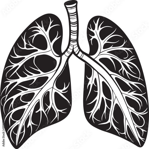 Black silhouette vector of human lungs icon, minimalist anatomical medical design, clean flat style, transparent background, healthcare stock illustration