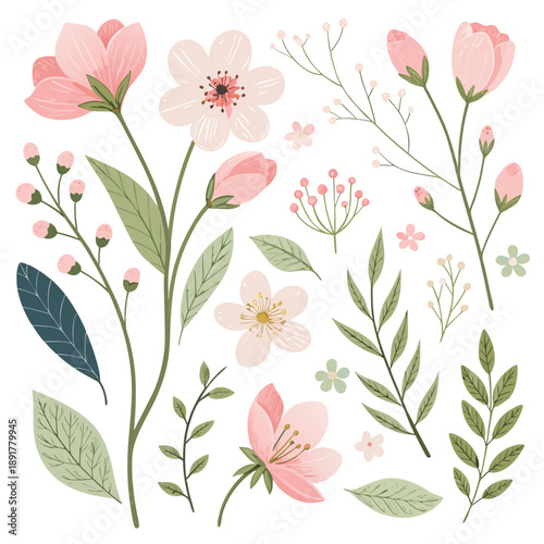 Collection of spring nature elements in a flat vector illustration set